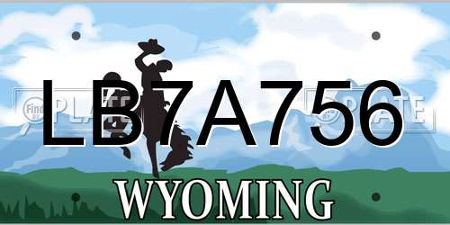 LB7A756 Wyoming License Plate