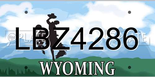 LBZ4286 Wyoming License Plate