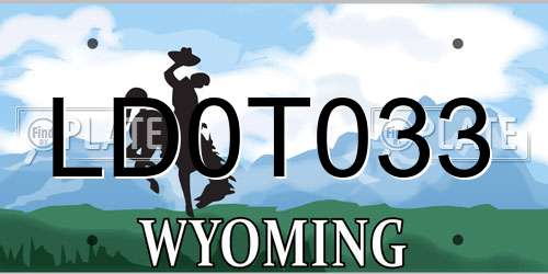 LD0T033 Wyoming License Plate