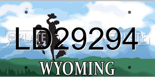 LD29294 Wyoming License Plate