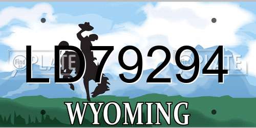 LD79294 Wyoming License Plate