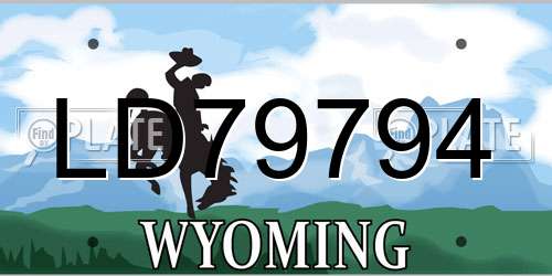 LD79794 Wyoming License Plate
