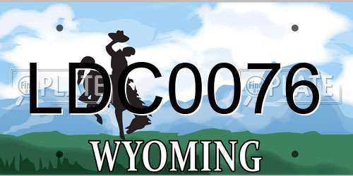 LDC0076 Wyoming License Plate