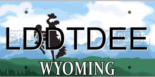 LDDTDEE Wyoming License Plate