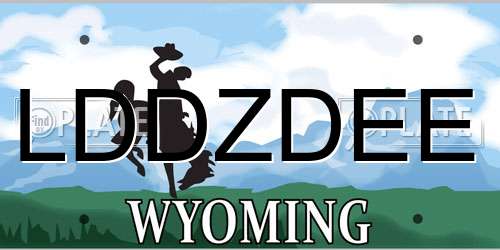LDDZDEE Wyoming License Plate