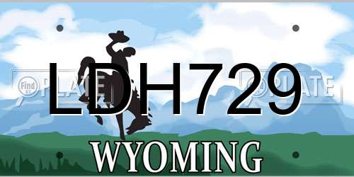LDH729 Wyoming License Plate