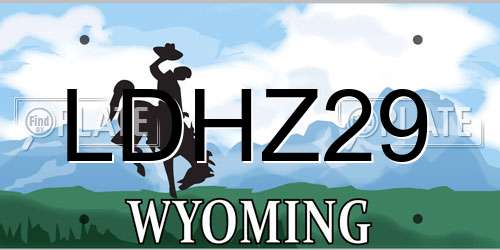 LDHZ29 Wyoming License Plate