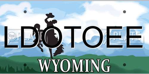 LDOTOEE Wyoming License Plate