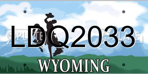 LDQ2033 Wyoming License Plate