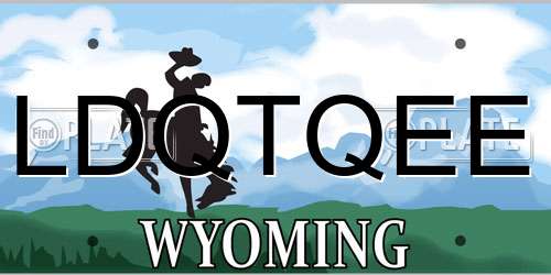 LDQTQEE Wyoming License Plate