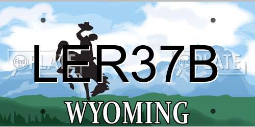 LER37B Wyoming License Plate
