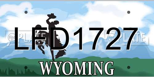 LFD1727 Wyoming License Plate