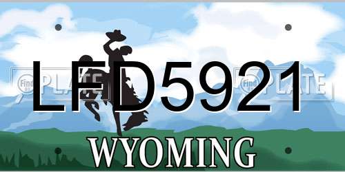LFD5921 Wyoming License Plate