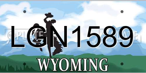 LGN1589 Wyoming License Plate