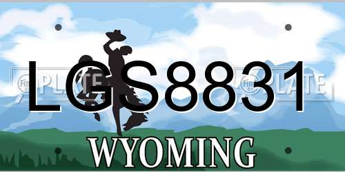 LGS8831 Wyoming License Plate