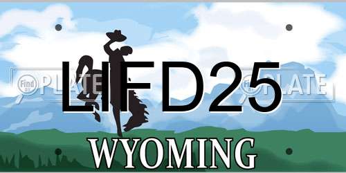 LIFD25 Wyoming License Plate