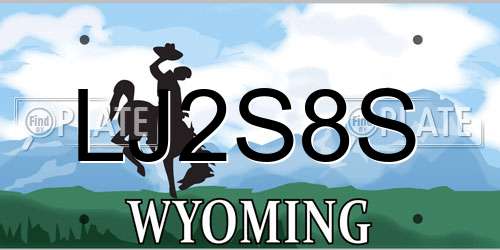 LJ2S8S Wyoming License Plate