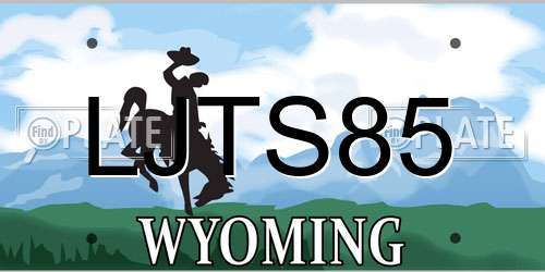 LJTS85 Wyoming License Plate