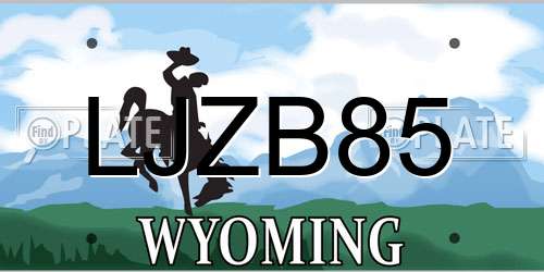 LJZB85 Wyoming License Plate