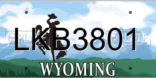 LKB3801 Wyoming License Plate