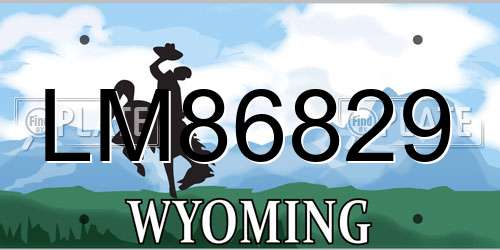 LM86829 Wyoming License Plate