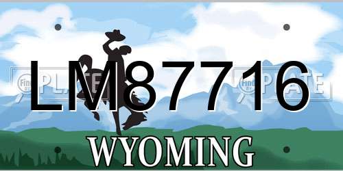 LM87716 Wyoming License Plate