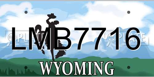 LMB7716 Wyoming License Plate