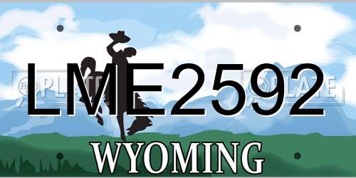 LME2592 Wyoming License Plate