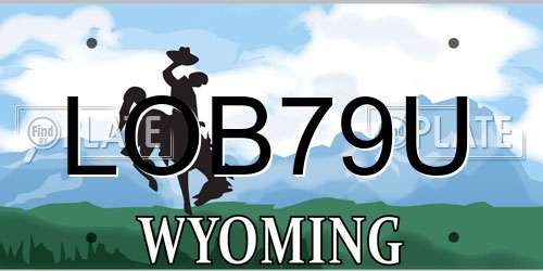 LOB79U Wyoming License Plate