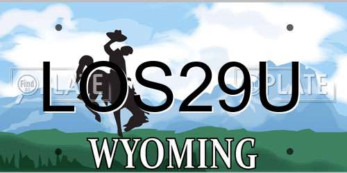 LOS29U Wyoming License Plate