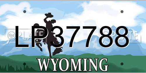LP37788 Wyoming License Plate