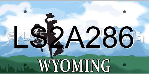 LS2A286 Wyoming License Plate