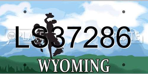LS37286 Wyoming License Plate