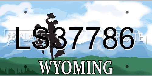 LS37786 Wyoming License Plate