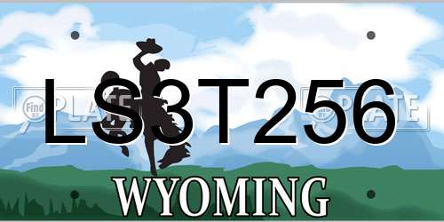 LS3T256 Wyoming License Plate
