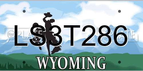 LS3T286 Wyoming License Plate