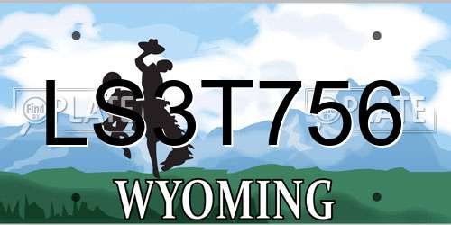 LS3T756 Wyoming License Plate