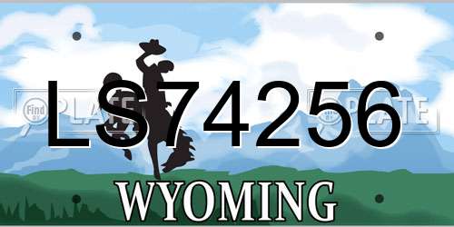 LS74256 Wyoming License Plate