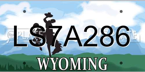 LS7A286 Wyoming License Plate