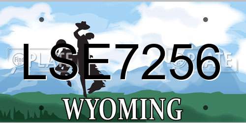 LSE7256 Wyoming License Plate