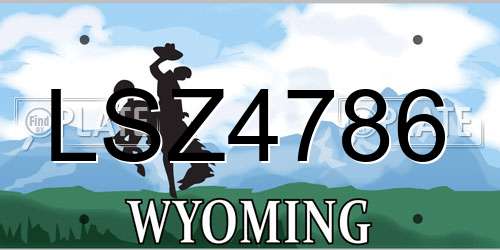 LSZ4786 Wyoming License Plate