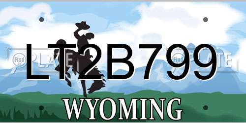 LT2B799 Wyoming License Plate