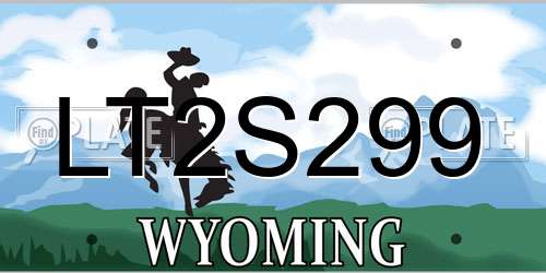 LT2S299 Wyoming License Plate