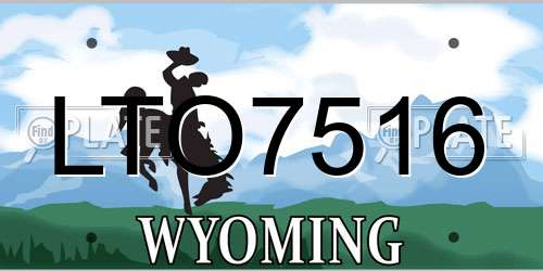 LTO7516 Wyoming License Plate