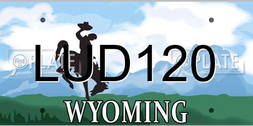 LUD120 Wyoming License Plate