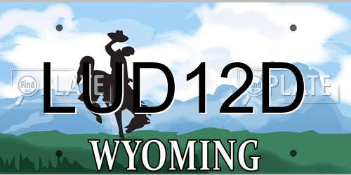 LUD12D Wyoming License Plate