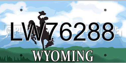 LW76288 Wyoming License Plate