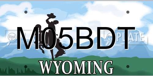 M05BDT Wyoming License Plate