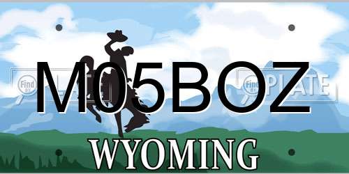 M05BOZ Wyoming License Plate