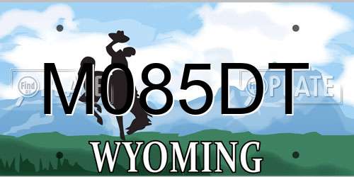 M085DT Wyoming License Plate